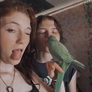 Meet your Posher, Lexi